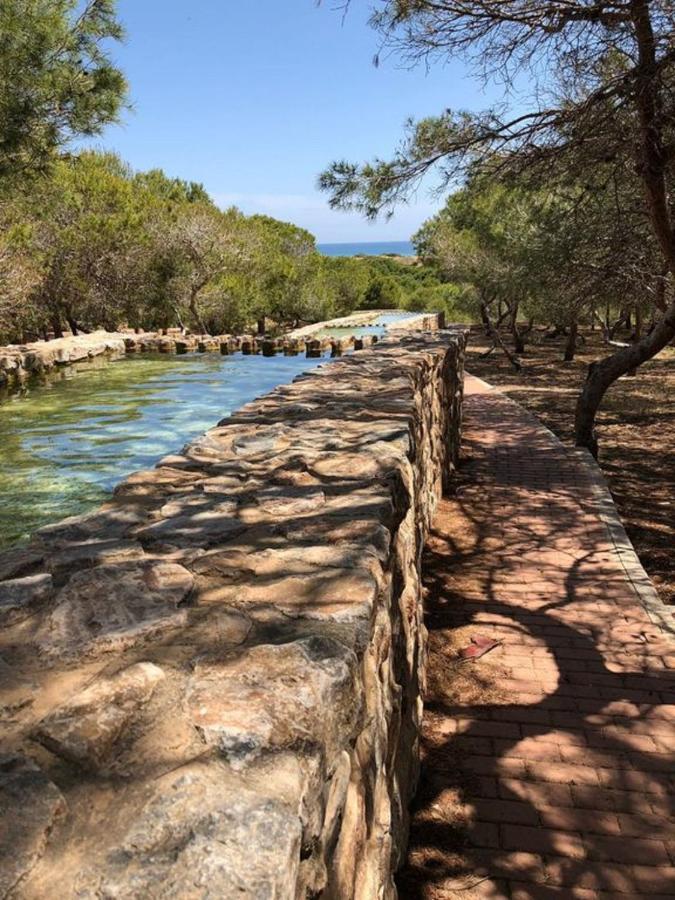 Cozy House Near La Mata Beach تورّيفيِخا المظهر الخارجي الصورة
